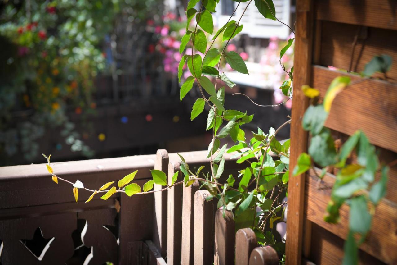 Chez Cecile Bed And Breakfast Chez Le Vigneron Colmar Esterno foto