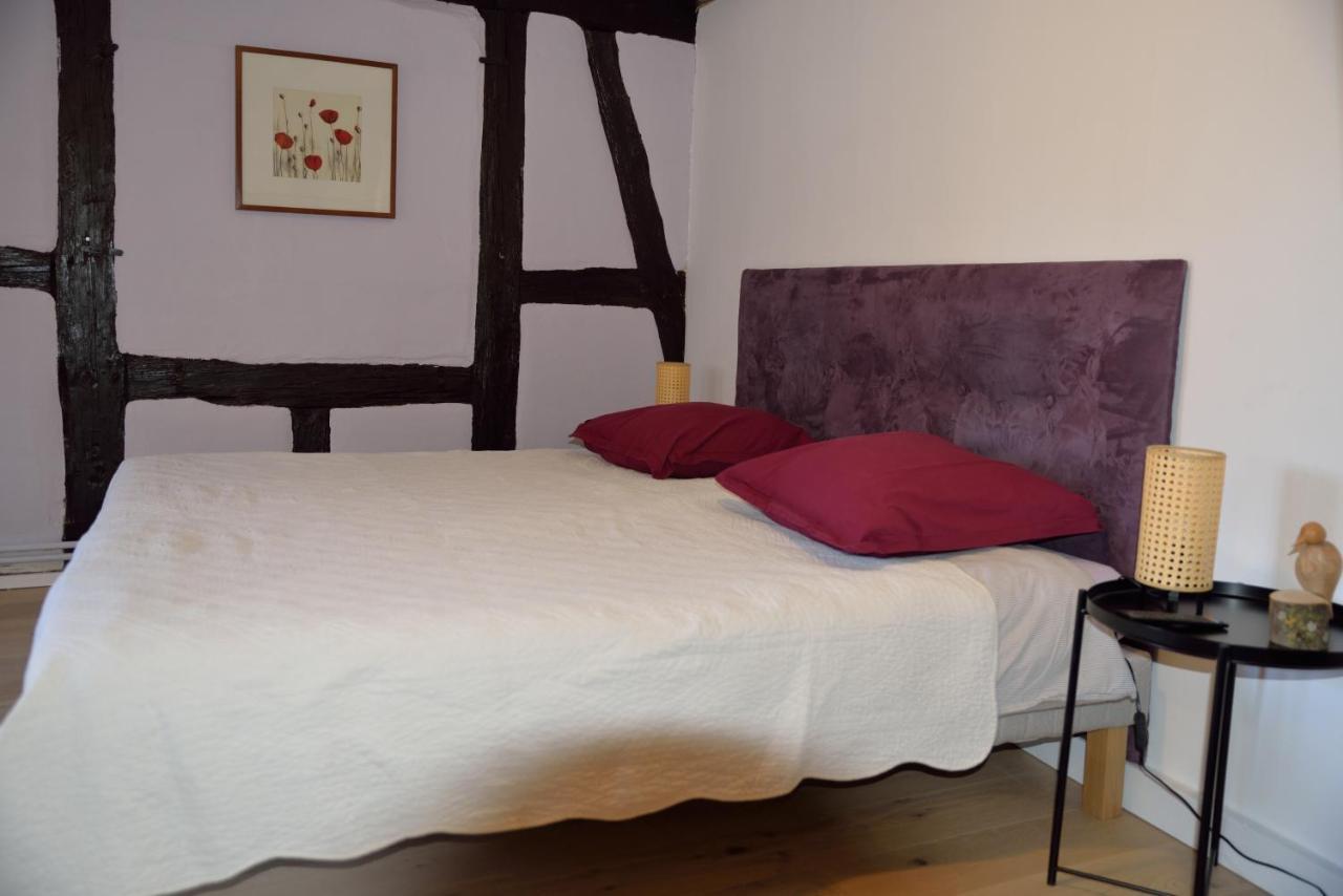 Chez Cecile Bed And Breakfast Chez Le Vigneron Colmar Esterno foto